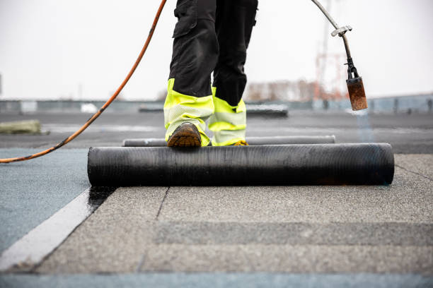 Best Roof Ventilation Installation  in Frenchtown, NJ